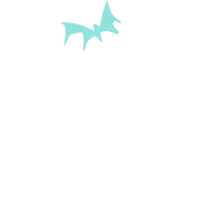 Bats